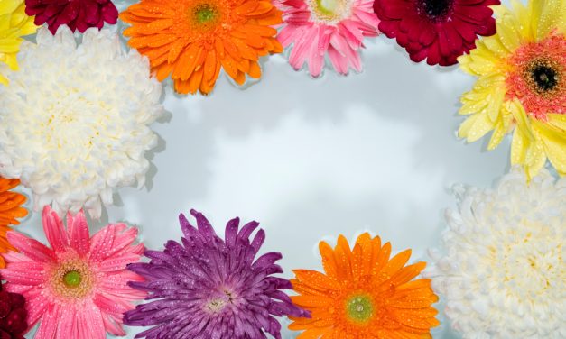 Flower Therapy: The most type of beautiful therapy you need to try ASAP!