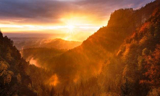 Gratitude and Grace: The Power of Appreciation in Our Daily Lives