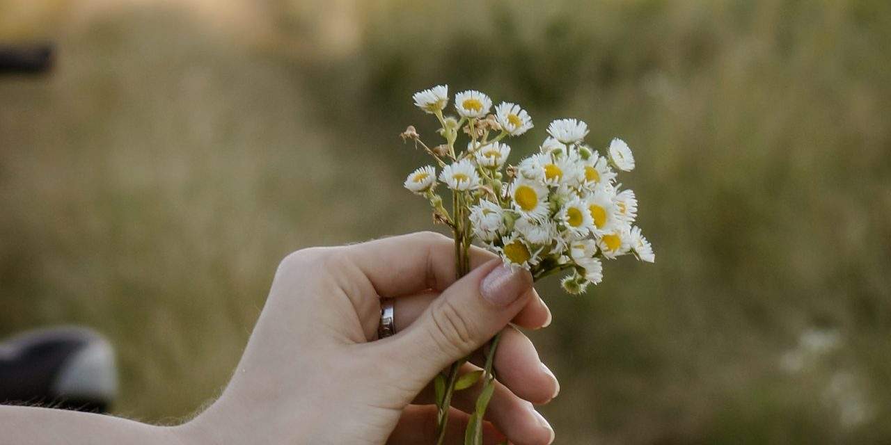 Simplicity of Life: Embracing Minimalism for a Happier Existence